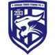 Logo Wuhan Three Towns Football Club