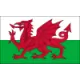 Logo Wales(U21)