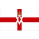 Logo Northern Ireland(U21)