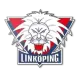 Logo Linkopings (w)